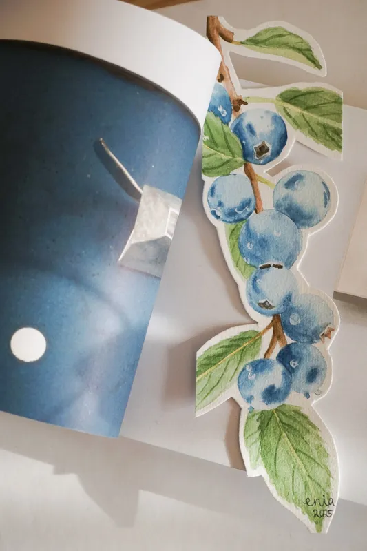 Am frühen Morgen, wenn gerade die Sonne aufgeht, breitet sich im Wald der Nebel aus. Der Tau setzt sich auf die Pflanzen und auch auf die Heidelbeeren.