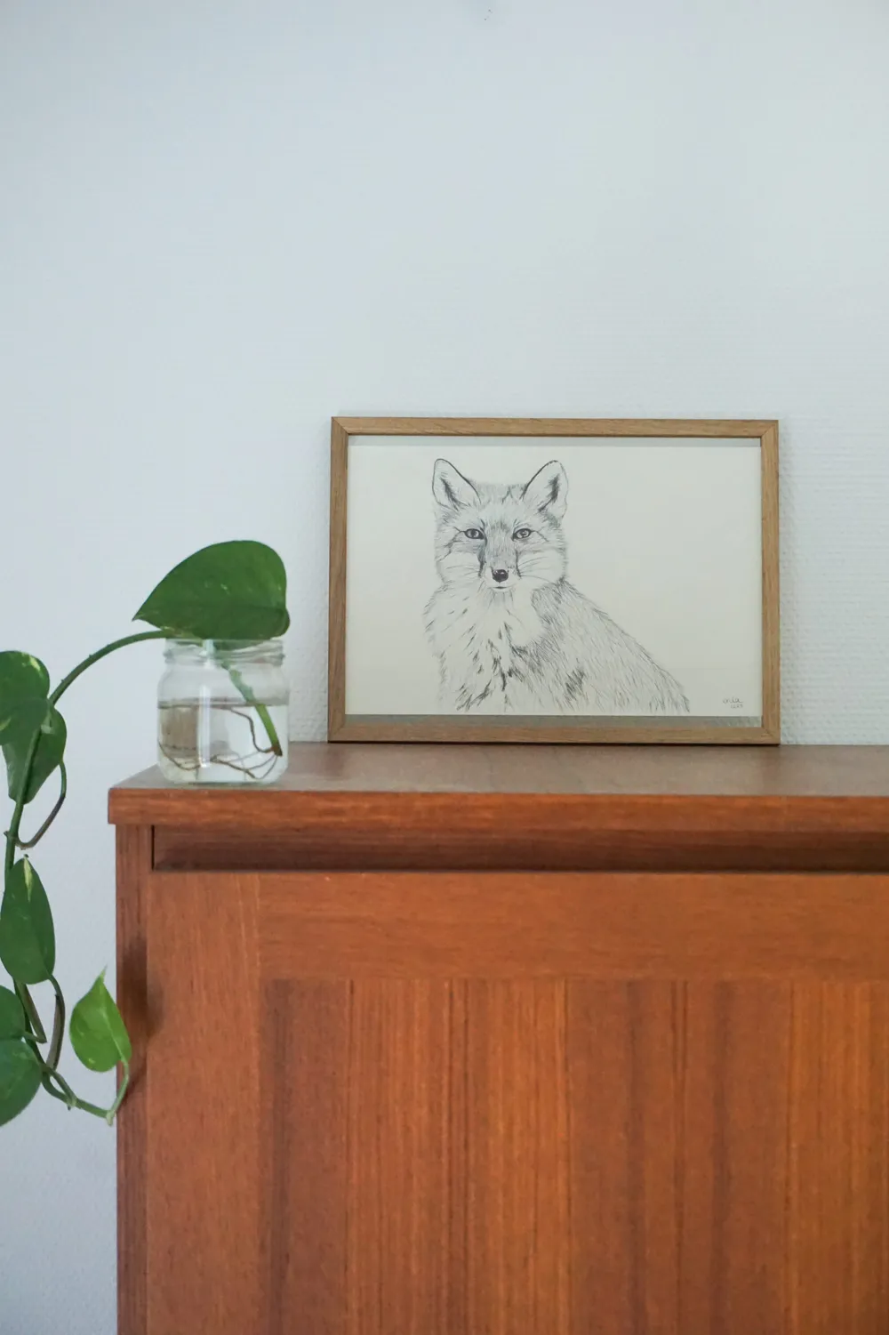 Der Fuchs schaut den Betrachter mit einem direkten Blick an, obwohl der Fuchs ein eher scheues Tier ist.