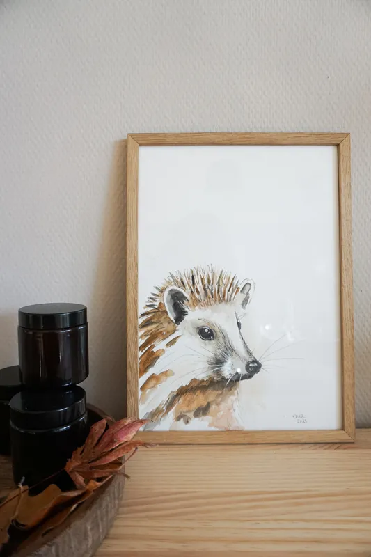 Im Herbst fallen die bunten Blätter von den Bäumen und der Igel baut sich daraus sein Zuhause. Nachts wird er aktiv und tapst durch den Wald.