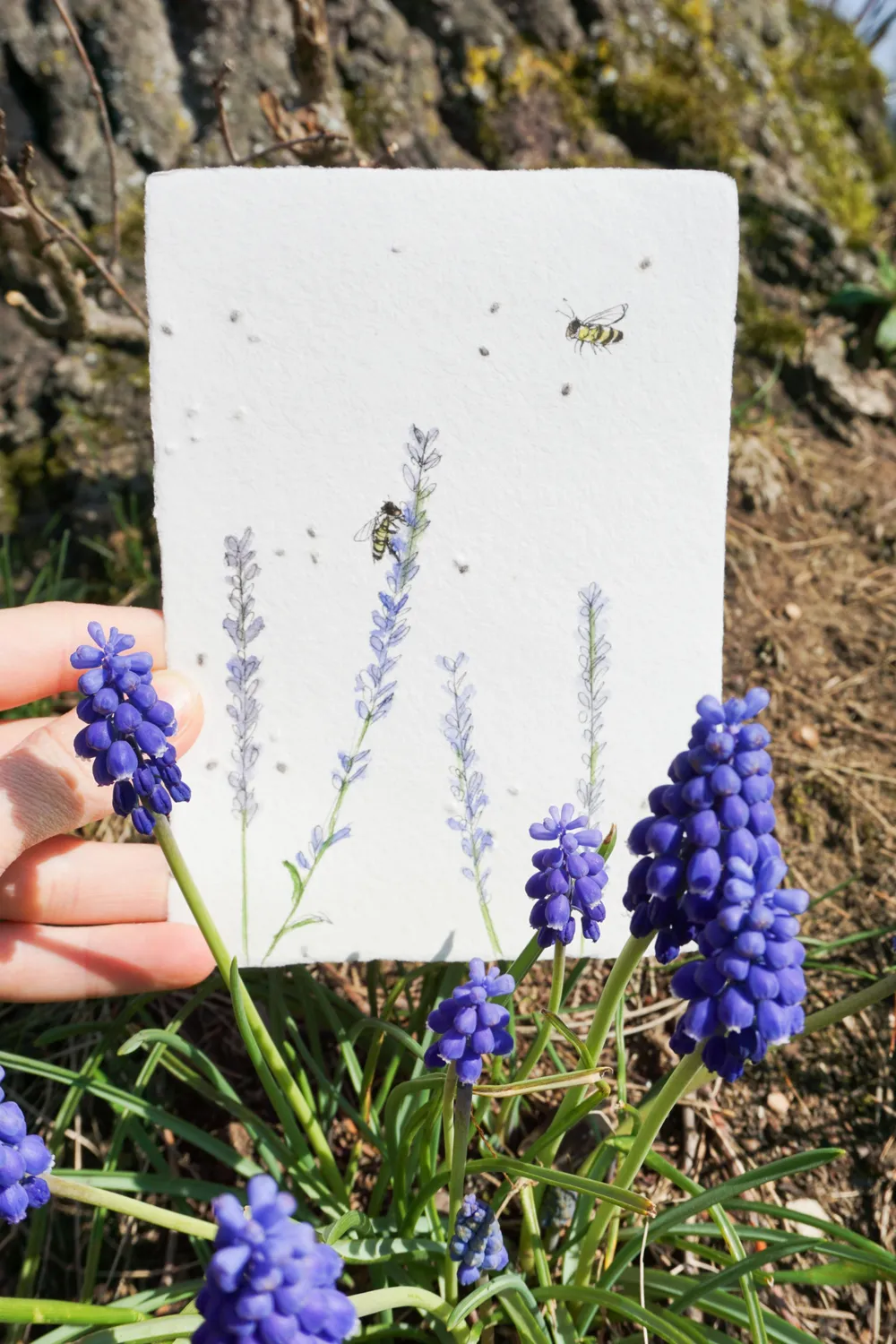 An warmen Sommertagen geben Lavendelzweige ihren beruhigenden Duft ab, der auch Bienen anzieht. - auf handgeschöpftem Saatenpapier (Basilikum Samen)