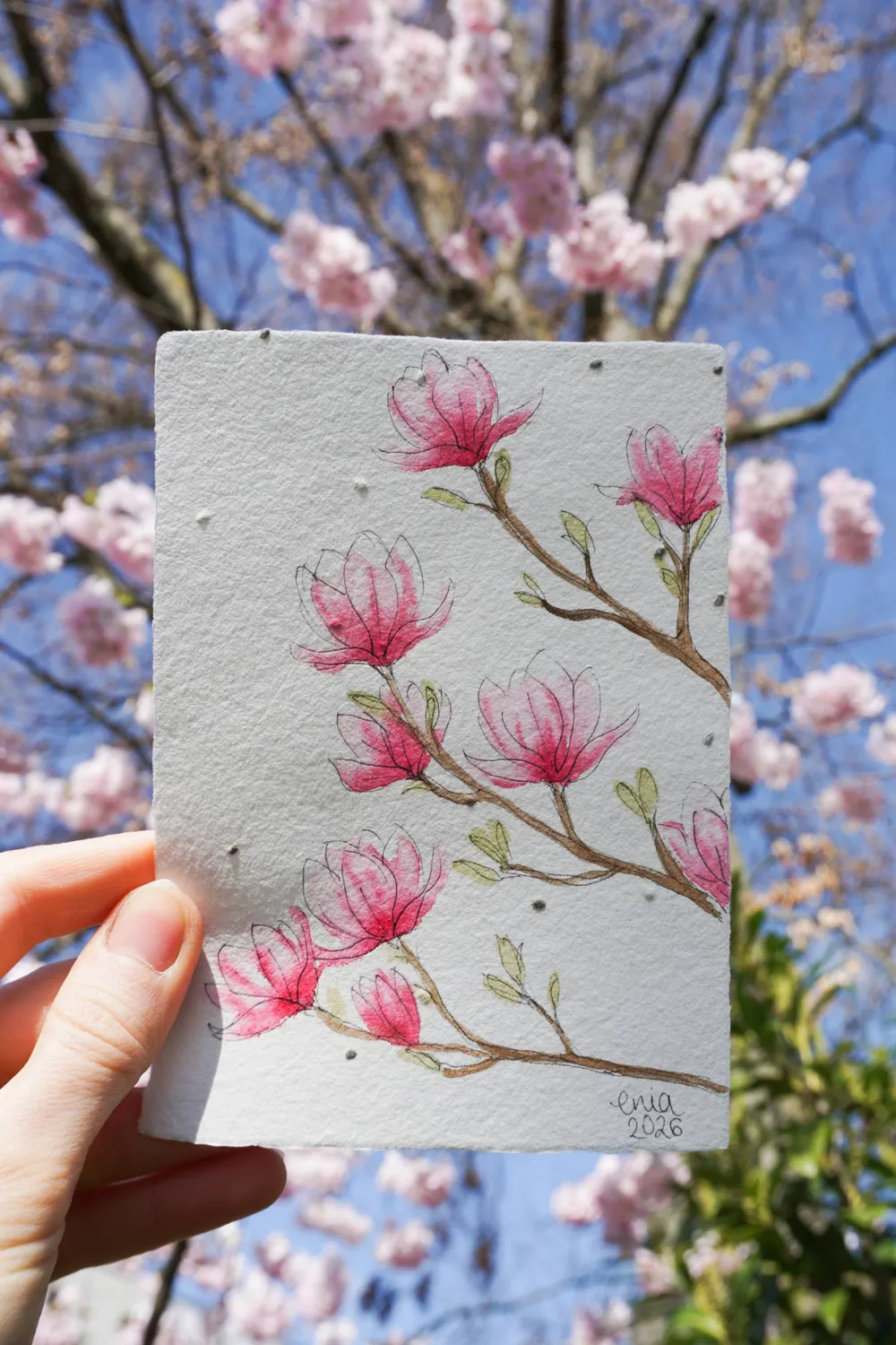 Nur für eine kurze Zeit erstrahlen Magnolien in voller Blütenpracht. - auf handgeschöpftem Saatenpapier (Basilikum Samen)