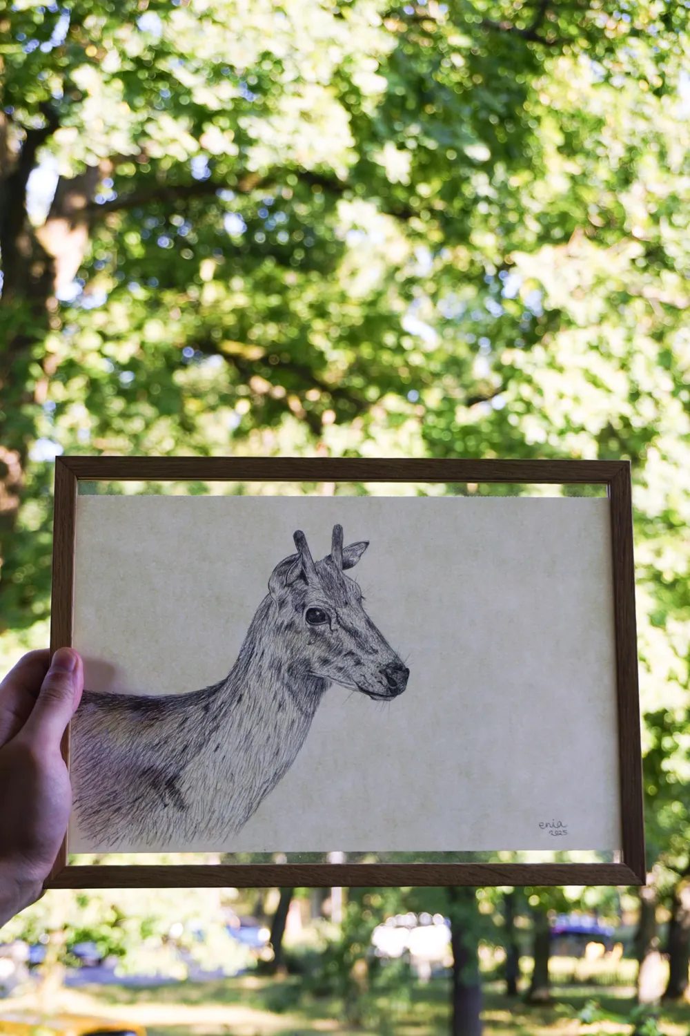 Dammhirsche sind scheue und vorsichtige Wesen. Sie sind jederzeit bereit wegzulaufen. Der Hirsch wurde mit Kugelschreiber gezeichnet.