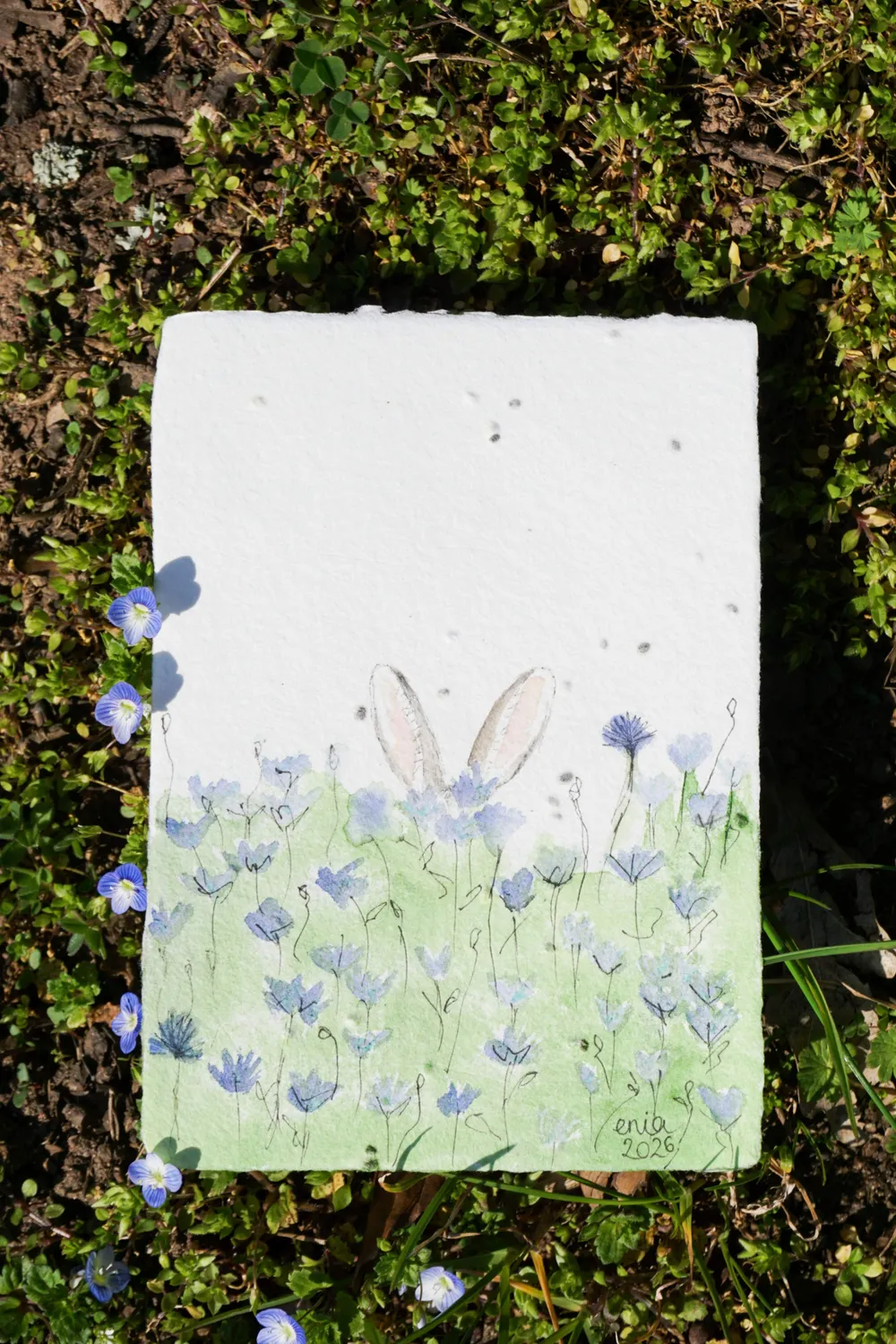 Auf der lila Blumenwiese lauscht aufmerksam ein Hase, zu sehen sind nur seine Ohren. - auf handgeschöpftem Saatenpapier (Basilikum Samen)