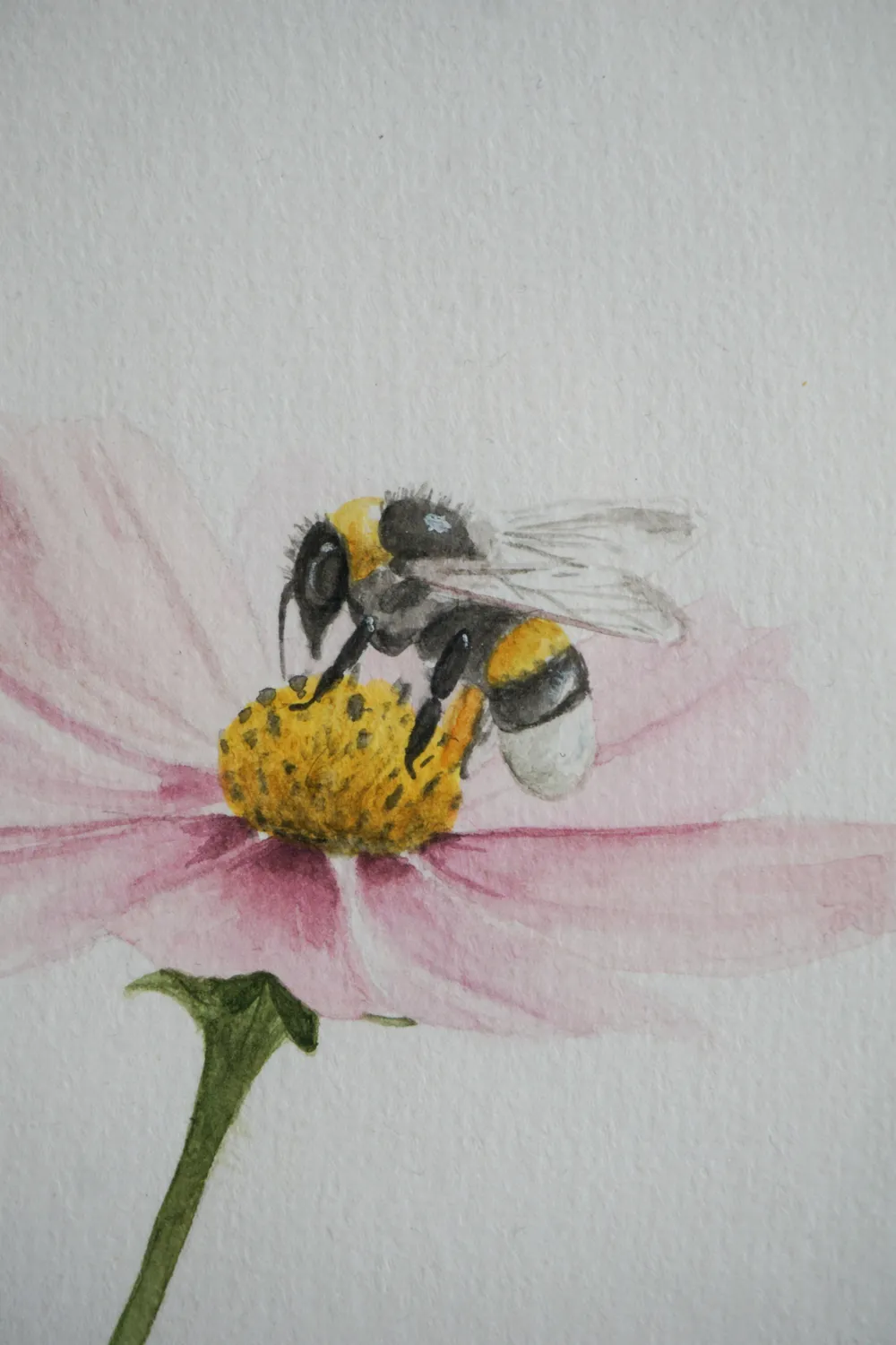 Wenn im Frühling alles zu blühen beginnt, ist die erste Biene nicht weit. Sie fliegt umher und landet sanft auf den Blumen.