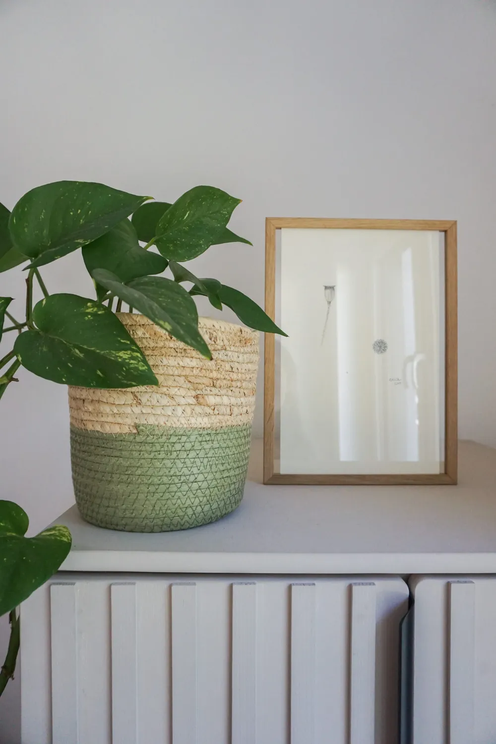 Die Pflanzenstudie zeigt, dass auch in vertrockneten Pflanzen eine Schönheit liegt.