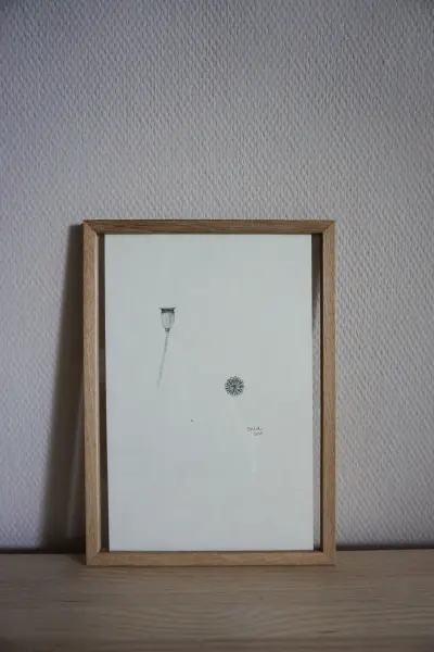 Die Pflanzenstudie zeigt, dass auch in vertrockneten Pflanzen eine Schönheit liegt.