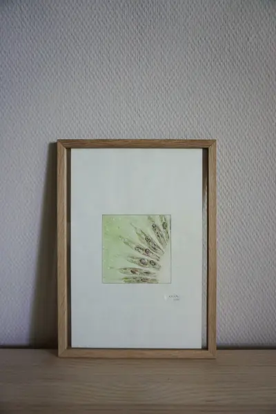 Beispielbild von enia