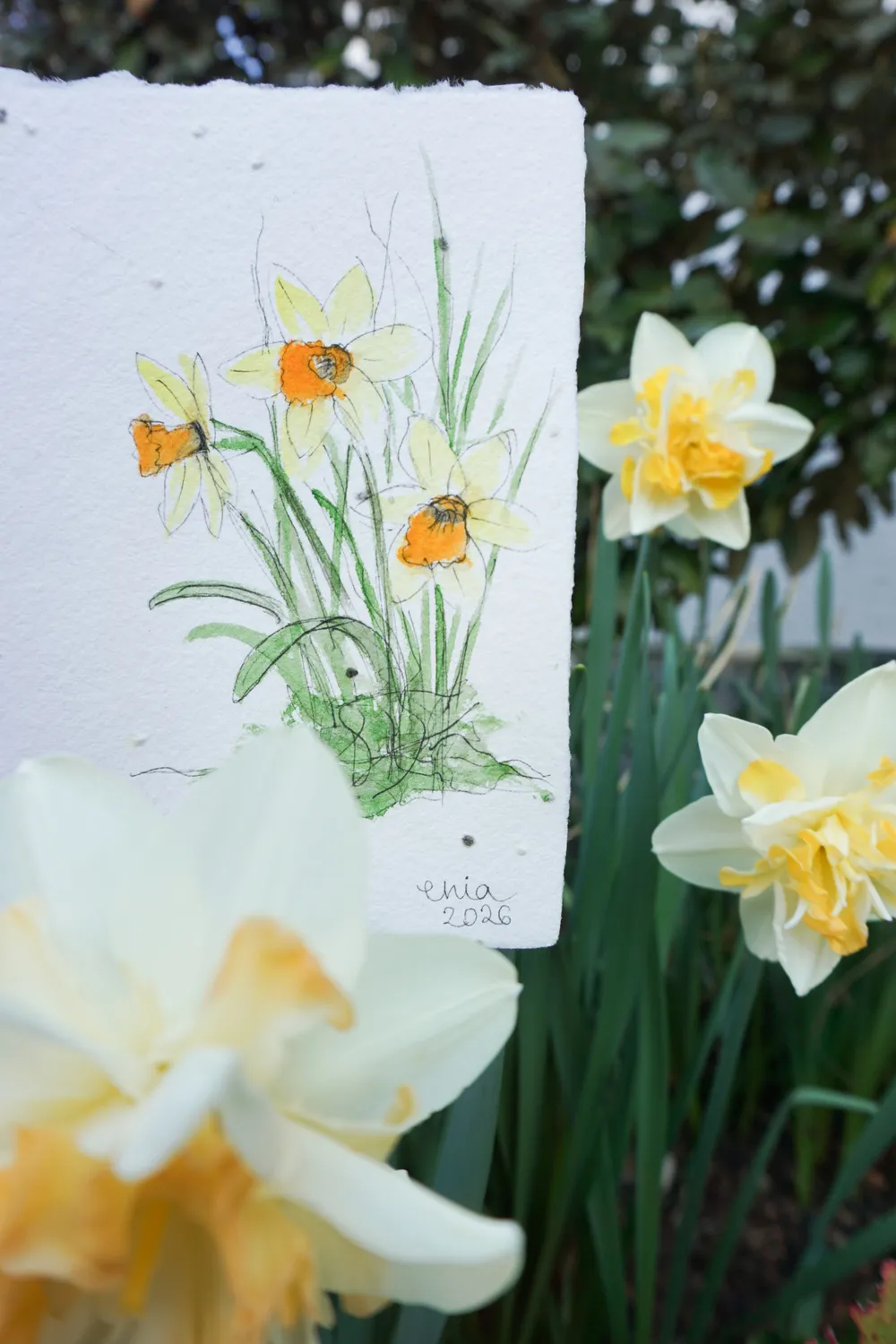 Die leuchtend orangene Mitte wird von zart gelben Blütenblättern umgeben.  - auf handgeschöpftem Saatenpapier (Basilikum Samen)