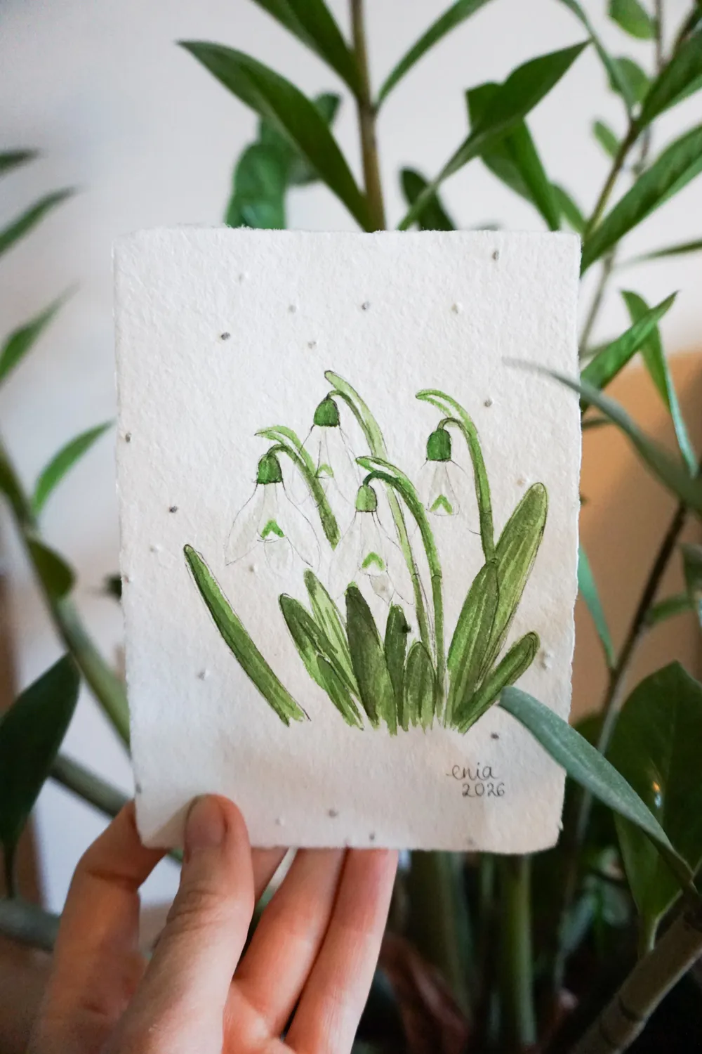 Wenn noch eine dünne Schicht Schnee auf der Wiese liegt, wachsen schon die ersten Schneeglöckchen und kündigen den Frühling an. - auf handgeschöpftem Saatenpapier (Basilikum Samen)