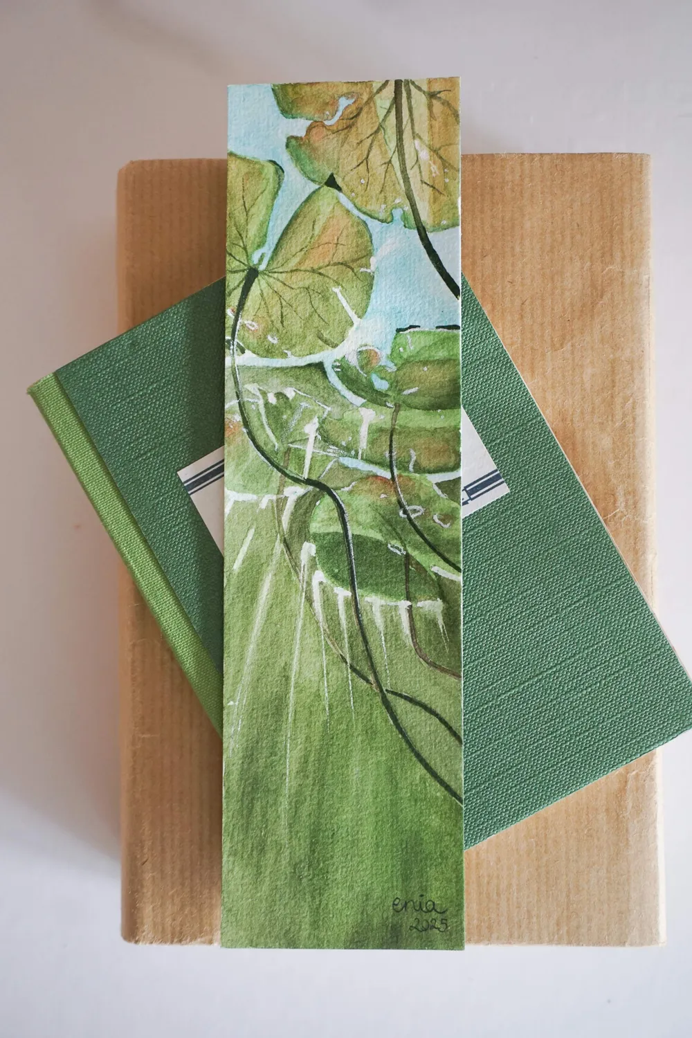 Unter Wasser zu sein und die Seerosen von unten zu betrachten ist eine neue und ungewöhliche Perspektive. Die Lichtstrahlen bahnen sich zwischen den Blättern den Weg.